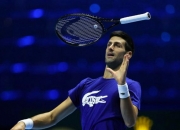 开云官网-ATP总决赛碾压法网，德约科维奇带队取胜的简单介绍