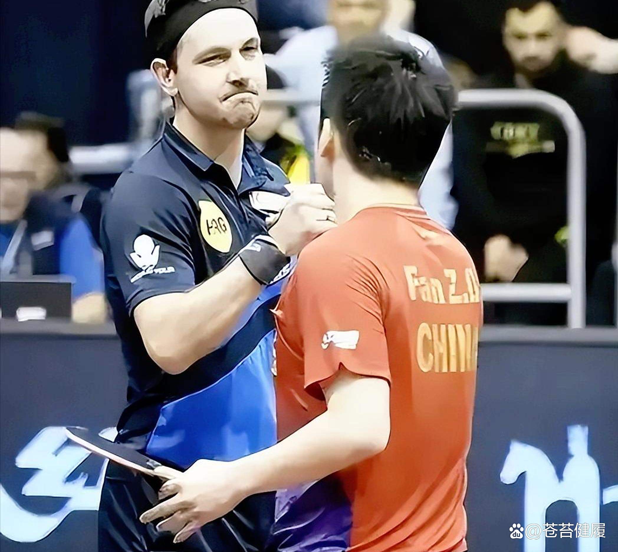 包含法国乒乓球队横扫比利时乒乓球队，波尔统治全场的词条